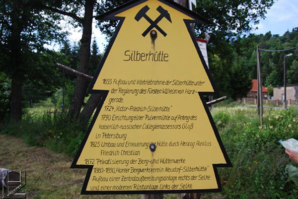 Dennertfichte am Waldhof in Silberhütte